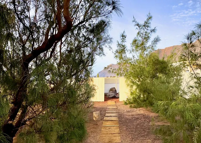 Vintage En Playa Famara