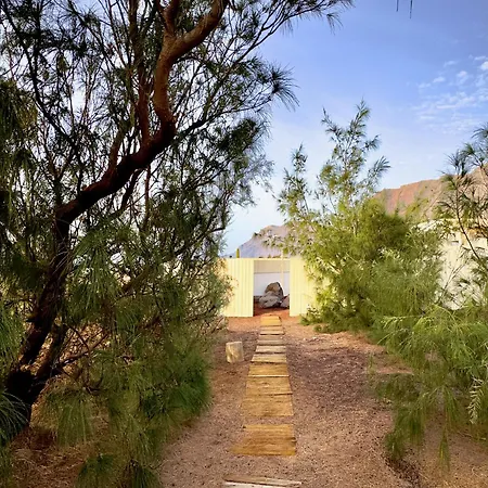 Vintage En Playa Фамара